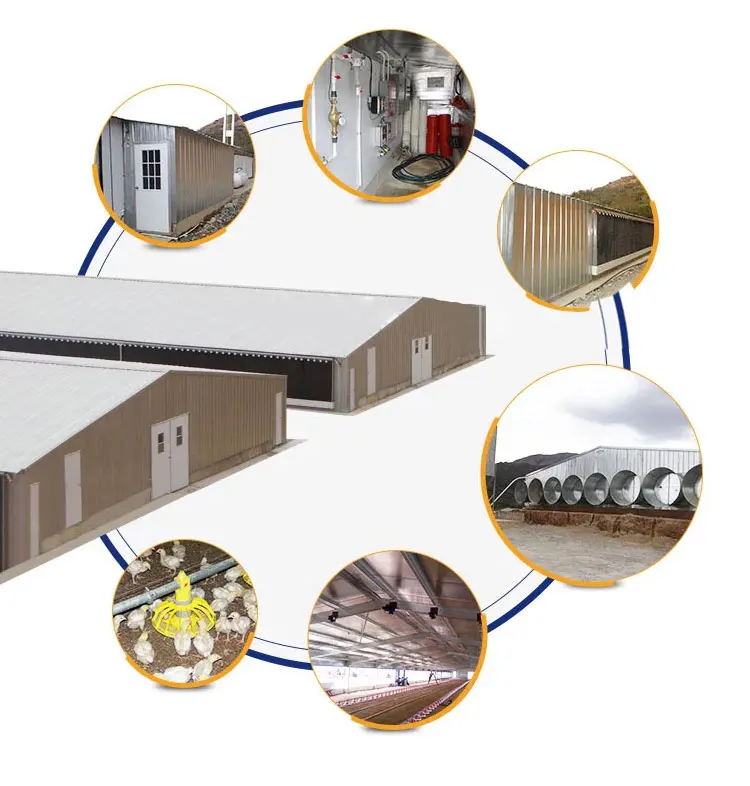 Низкая стоимость, крупногабаритная сборная стальная конструкция, птичник закрытого типа для Африки