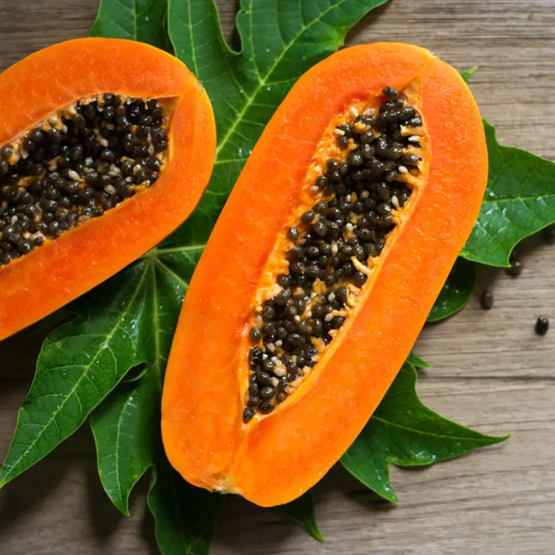 Premium Grade Tropical 1 Foot Papaya Seeds Hybrid Fruit Wholesale Best Price Malaysia In Bag