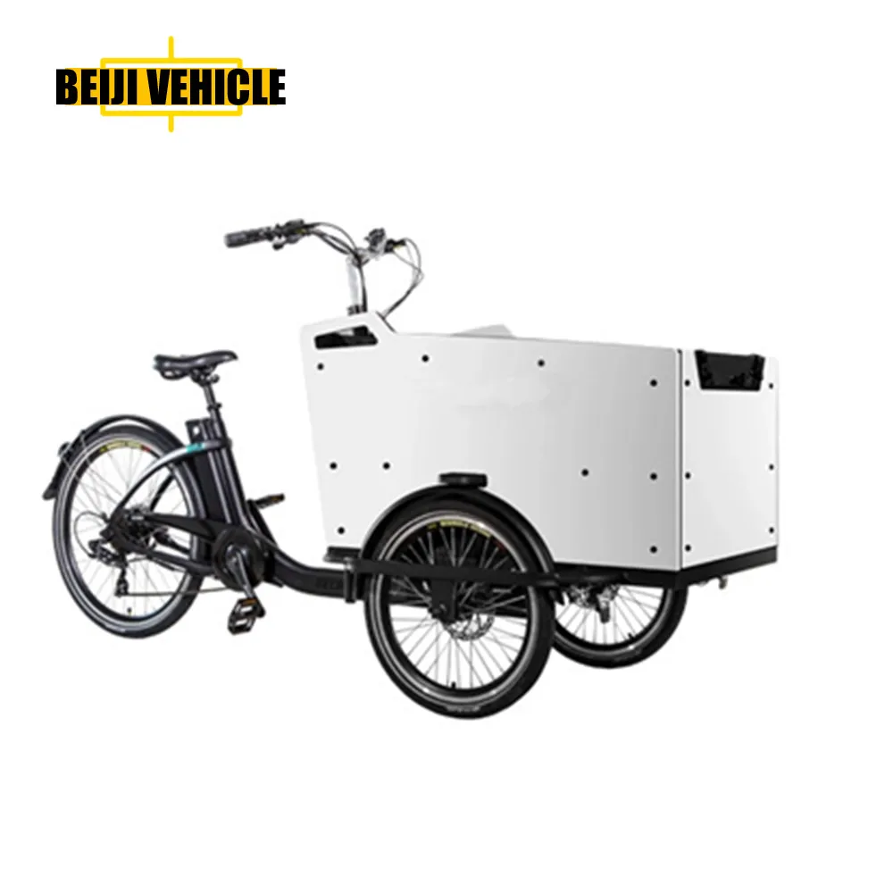 Electric Trikes Cabine Cargo Bike Motorized 3 Wheel Tricycles