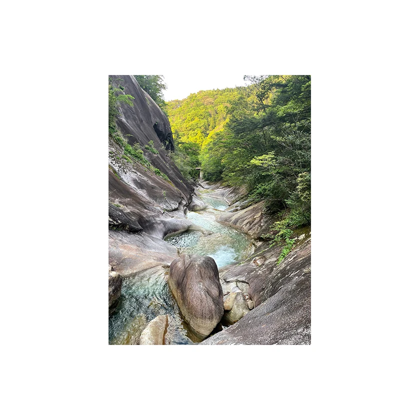 Alcoholic beverage wine sake has an elegant ginjo aroma like that of an apple