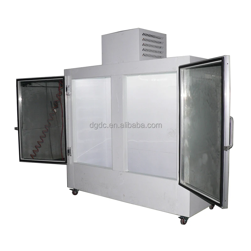 Gas Station Indoor Display Bagged Ice Storage Freezer With 2 Glass Door or Solid Doors