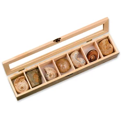 Tea gift packaging wooden box chocolate luxury wooden box