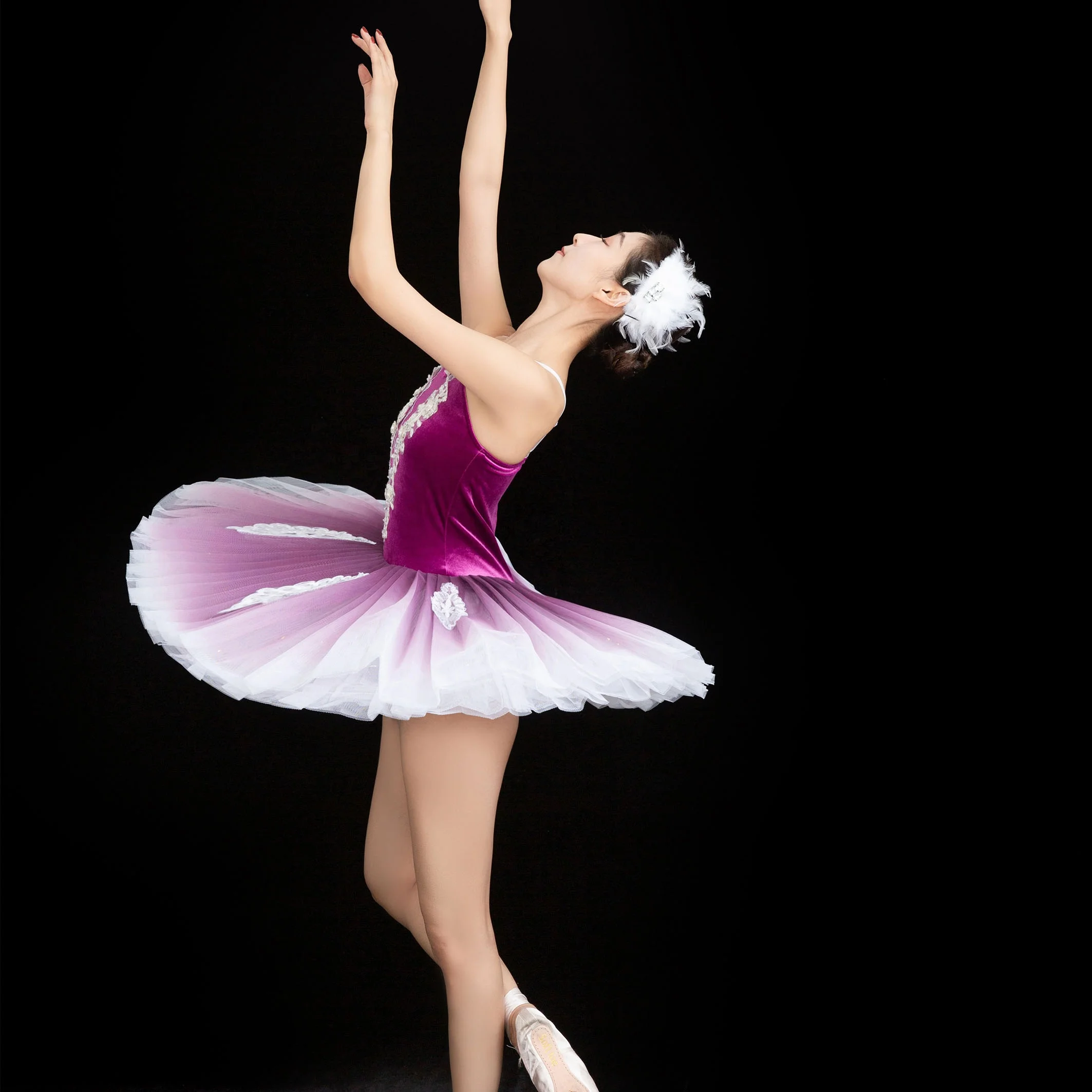 Swan Lake Ballet Dress purple Fluffy stage performance Dance Costume Embroidery  applique Tutu Dresses Training Dancewear