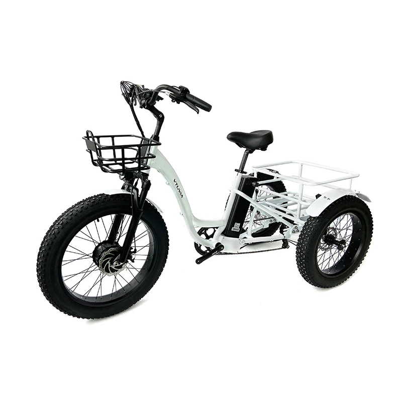 Fast Delivery 20 inch 750W big tire folding fat tire electric cargo tricycles bike