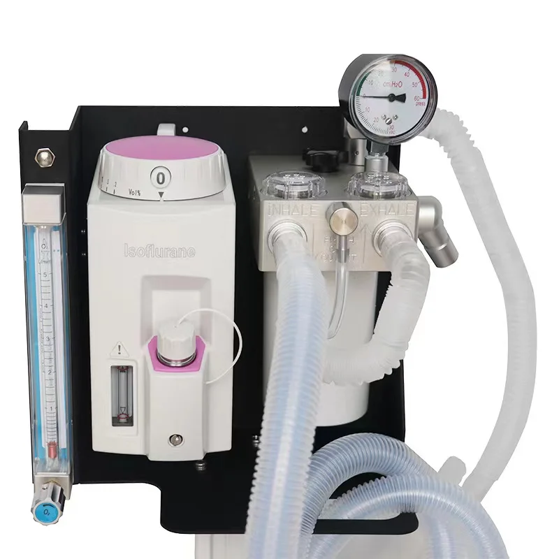 Factory Price Medical Anesthesia Equipment  Portable Veterinary Anesthesia Machine