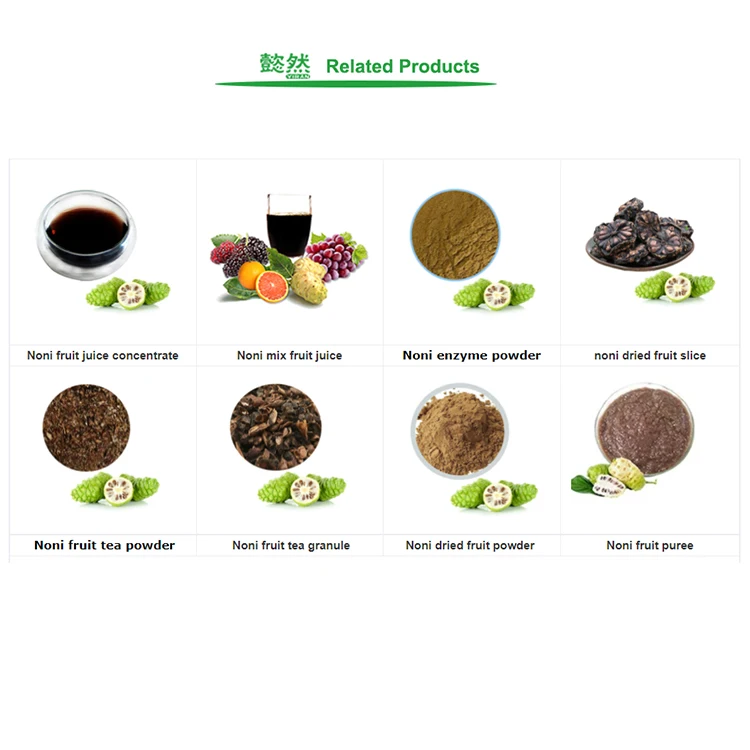 China Hainan Island Factory Bulk Wholesale Best Quality Health Benefits Natural Fermented Noni Juice Fruit Enzyme Drink