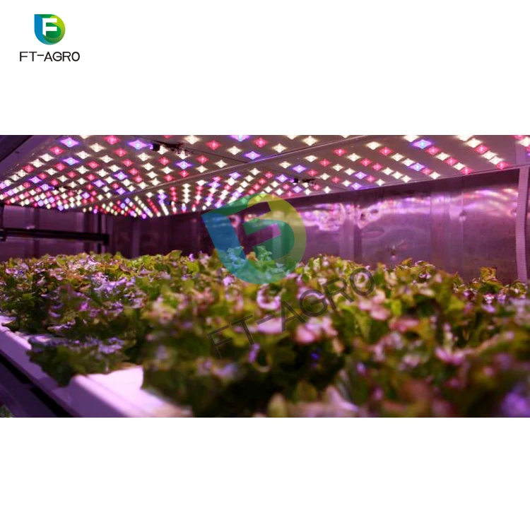40ft Container hydroponic plant factory For smart farms