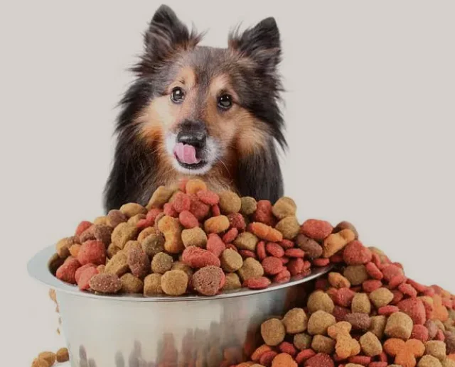 Automatic Ors Kiwi Lollipop Candy Tamarind Grain China Polythene Plastic Pack Pe Food Package Machine Price For Suger