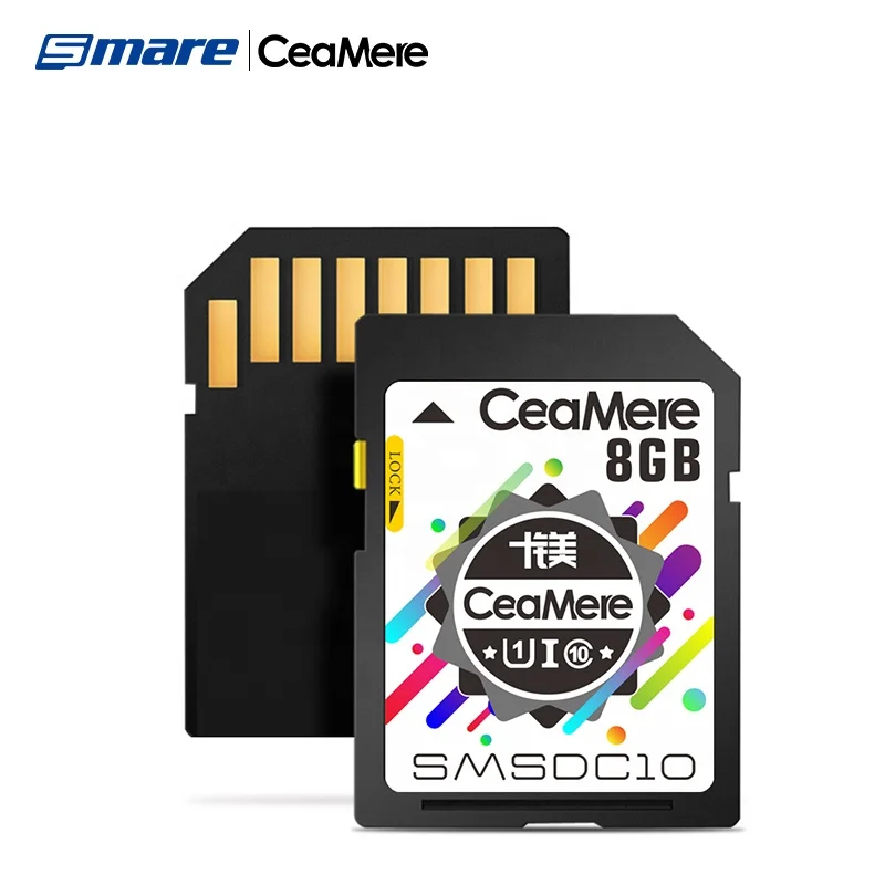 Hot selling Ceamere Cheap Original 8GB GPS Memory Cards 4GB 8GB 16GB 32GB 64GB 128GB 256GB Class 10 Carte Memoire Card