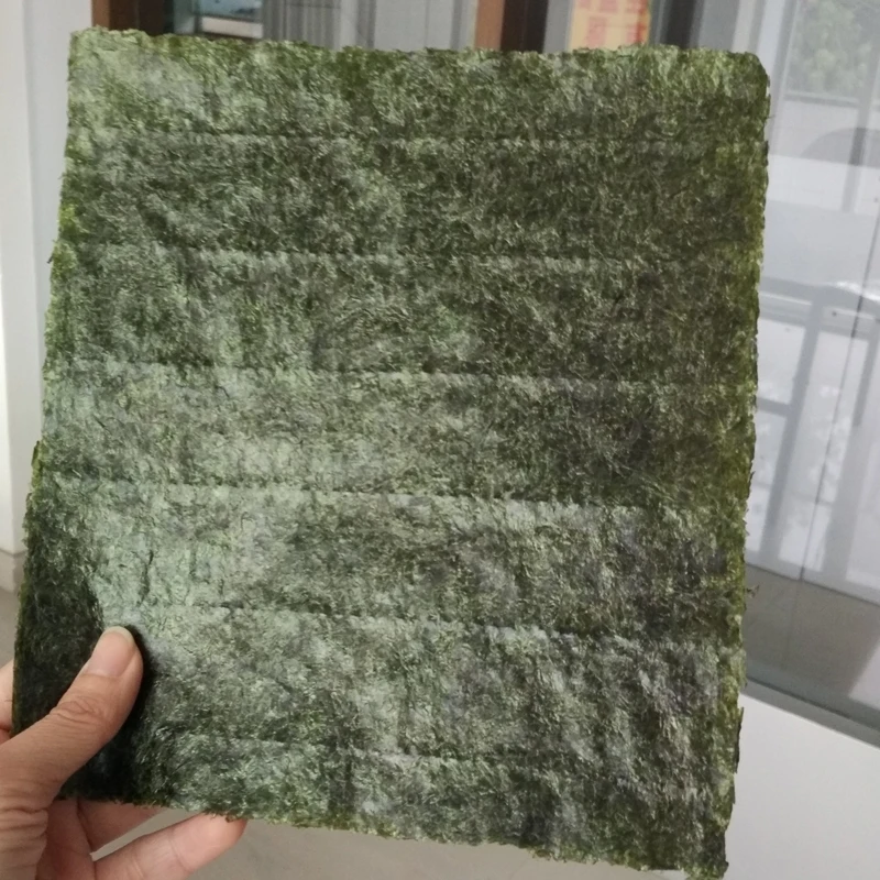 HACCP Certified Dried Roasted Nori Sushi Wrapper Wholesale