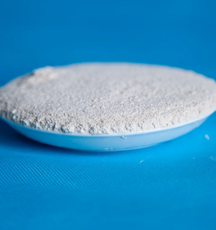 USP Grade High Purity Magnesium Hydroxide Light Type Industrial and Food Grade White Powder Additive Magnesium Chloride Salt