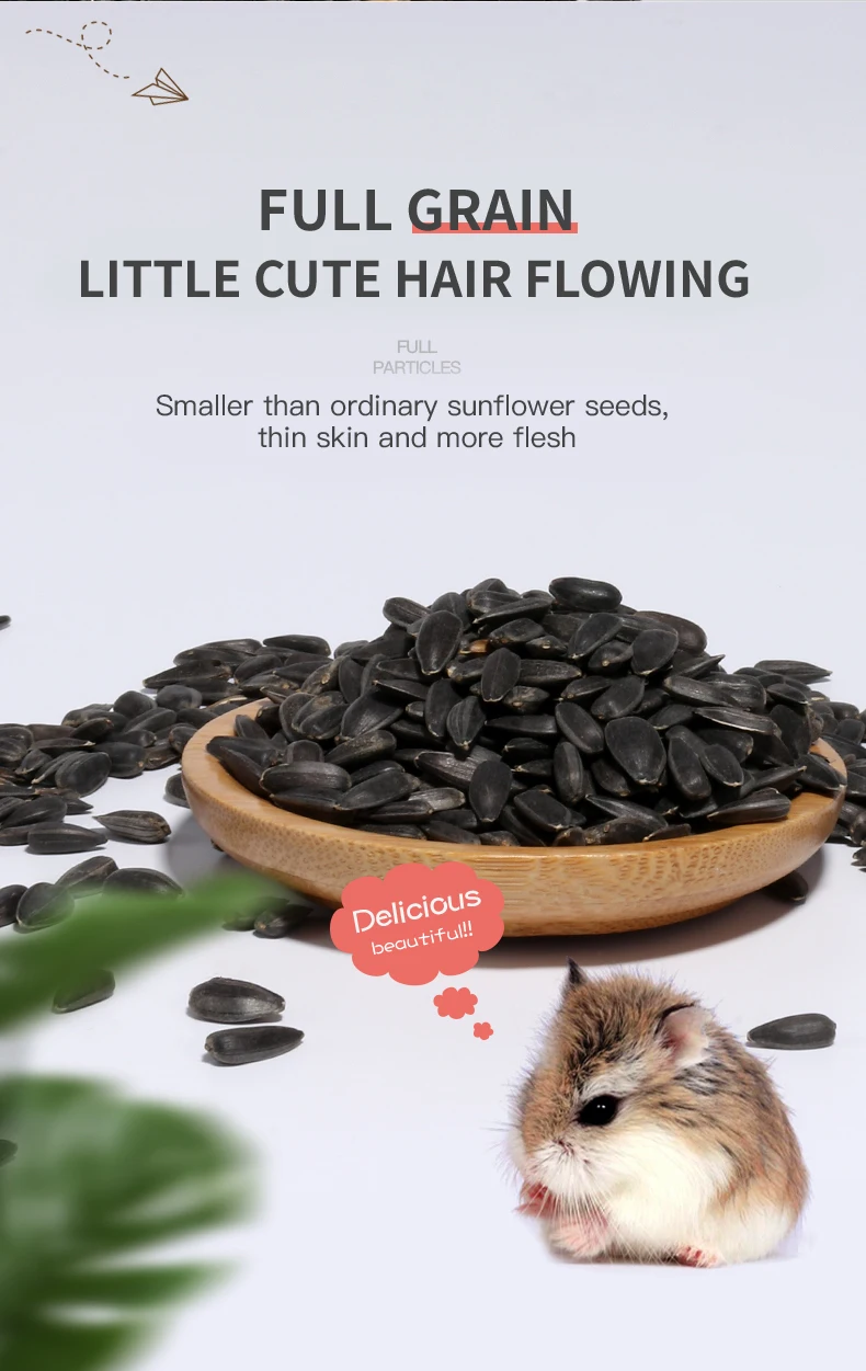 Top Selling Canned Pet Food Pet Supplies Russia Transparent America Bag Australia for hamster food supplies