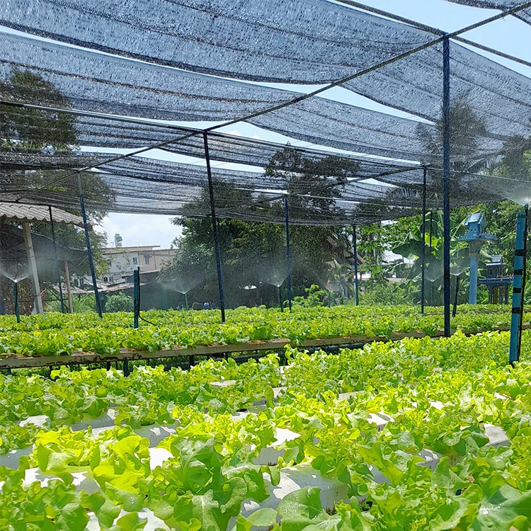 Plastic Net Black Aluminum Foil Shade Net Rolls/Greenhouse Shade Net