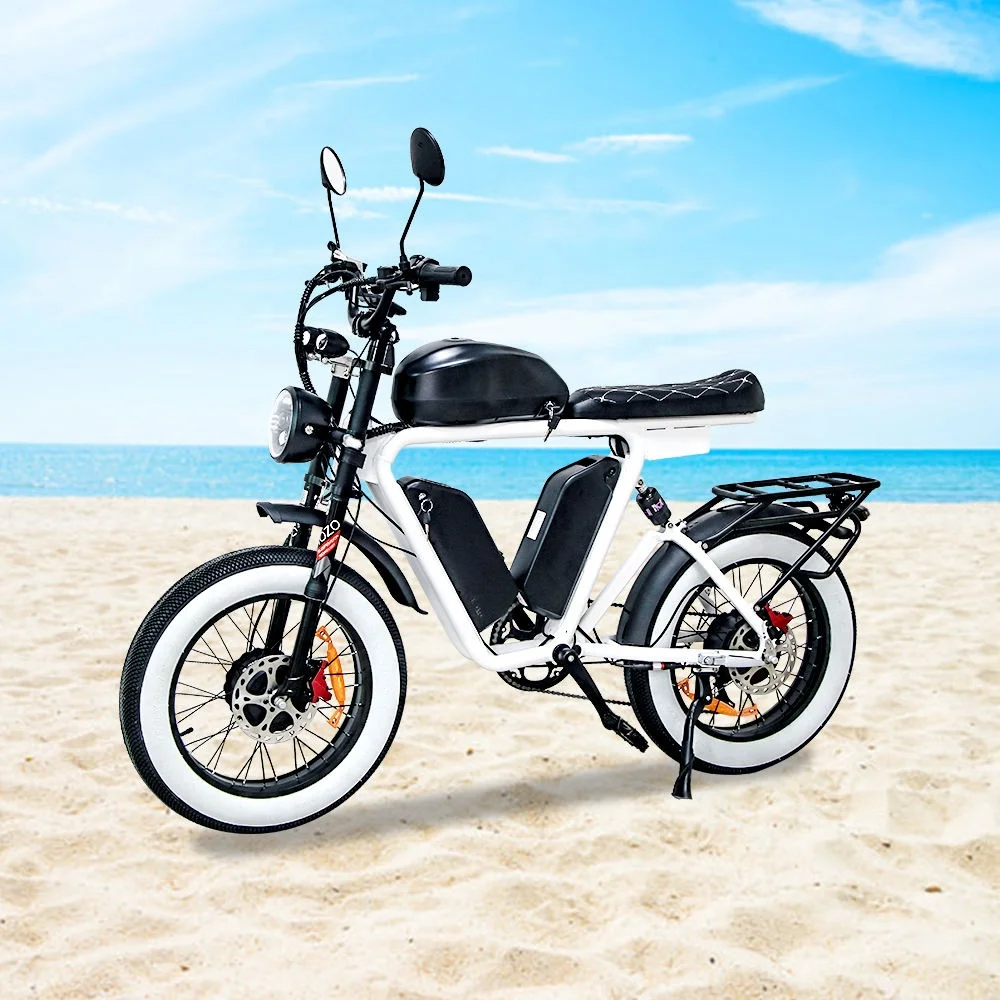 Dual Bafang  Motors Electric BIKE  48v 1000W  triple  lithium batteries fat tire electric bicycle wholesale bicicleta electrica