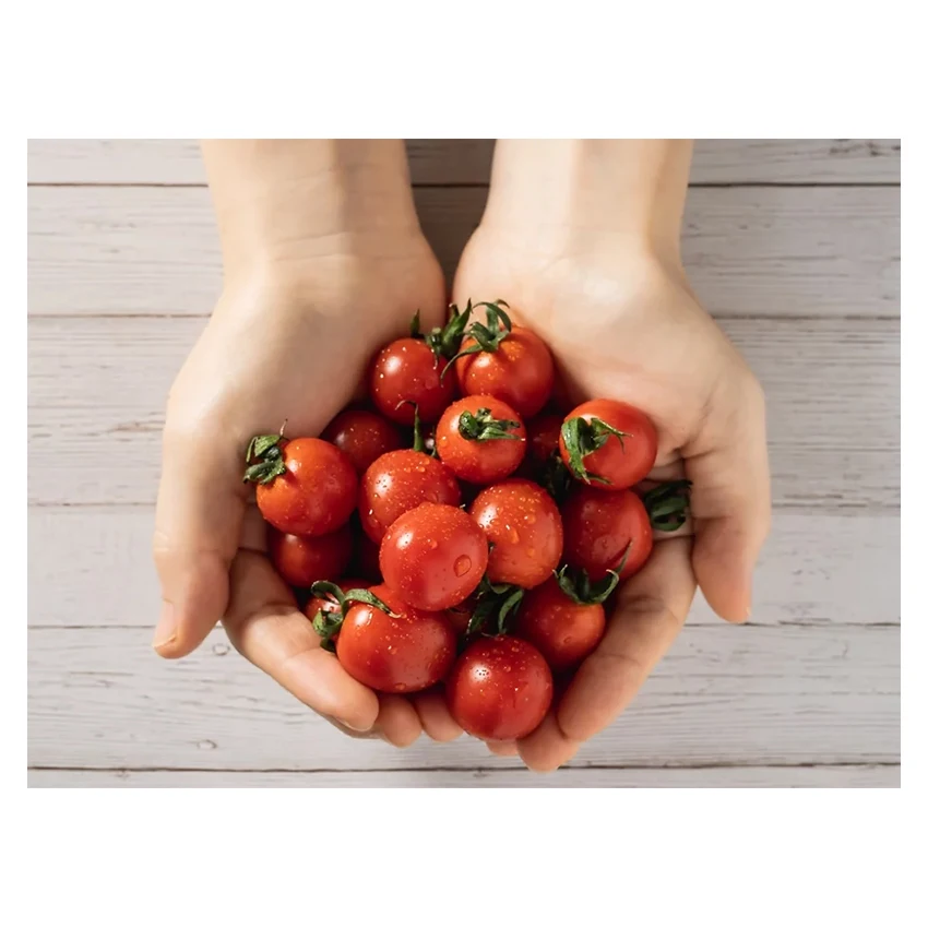 Wholesale health tasty tomatoes shop processing manufacturing