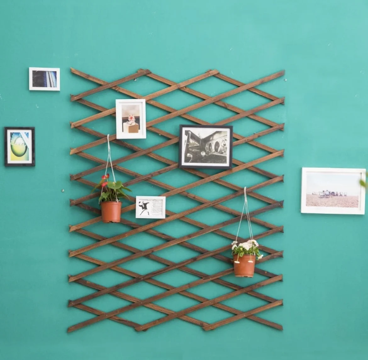 Carbonized anticorrosive telescopic wood drawing mesh wood fence green plants climbing grid flower stand