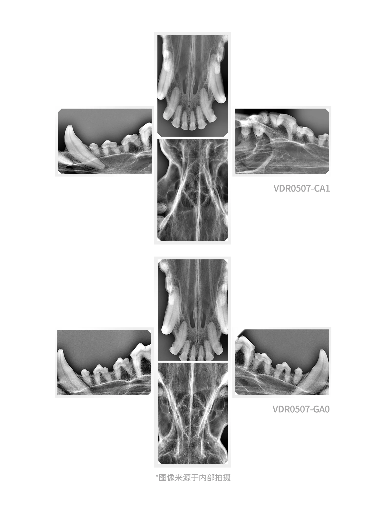 CE Approved Original HANDY Size 4 Dental X-Ray Sensor Large Size Veterinary Sensor for Medium and Large Dogs