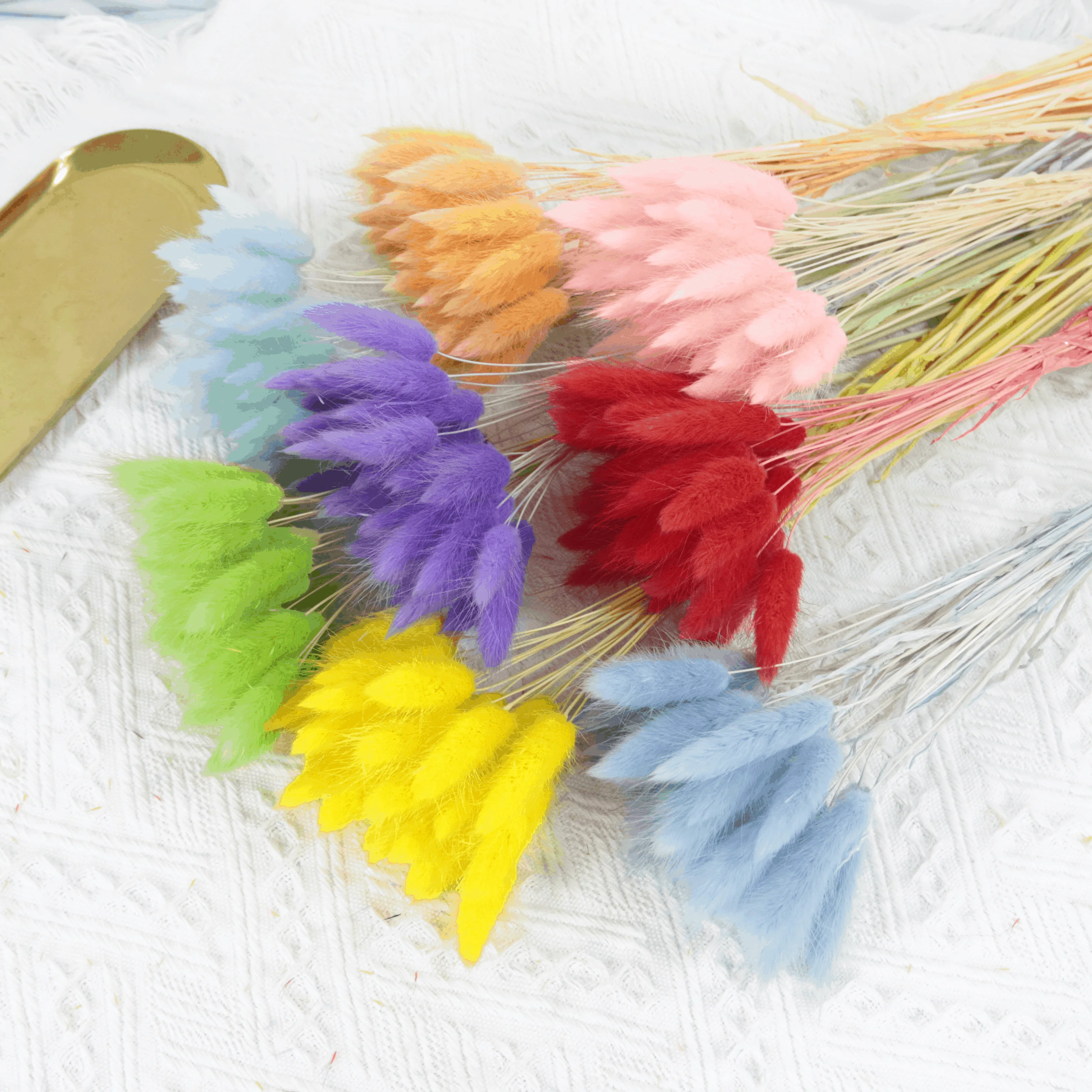 Wholesale Low Price Dried Flower Rabbit Grass for Gift Decoration