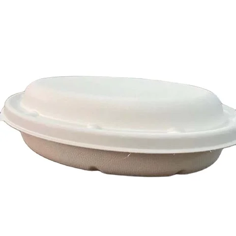 biodegradable disposable  oval takeaway  Sugarcane Bagasse Eco Friendly Bowls 850ML Oval bowl