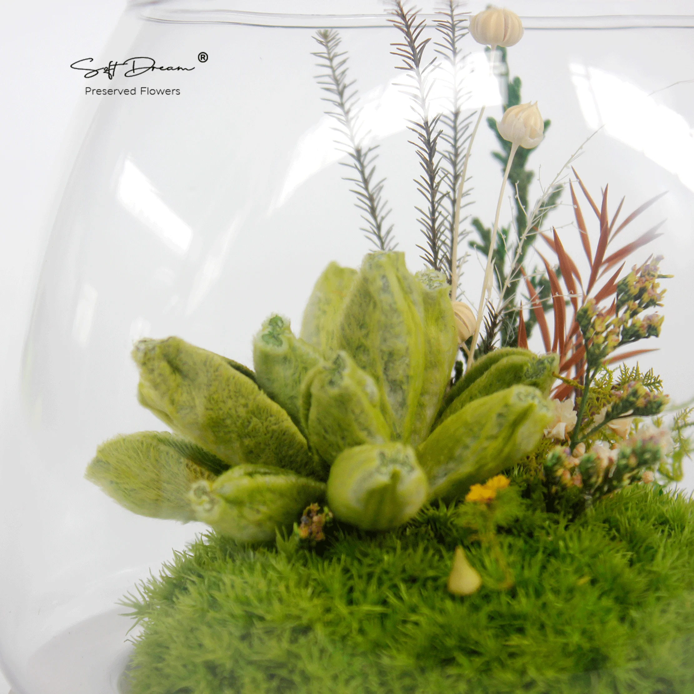 Eternal Beauty: Preserved Moss, Cotton Wool Sage Leaves, and Everlasting Floral Decor for Home and Gift