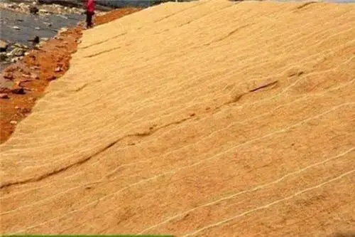 Custom Size Cut to Size Natural Outdoor Coconut Fiber Coco Coir Doormats Roll