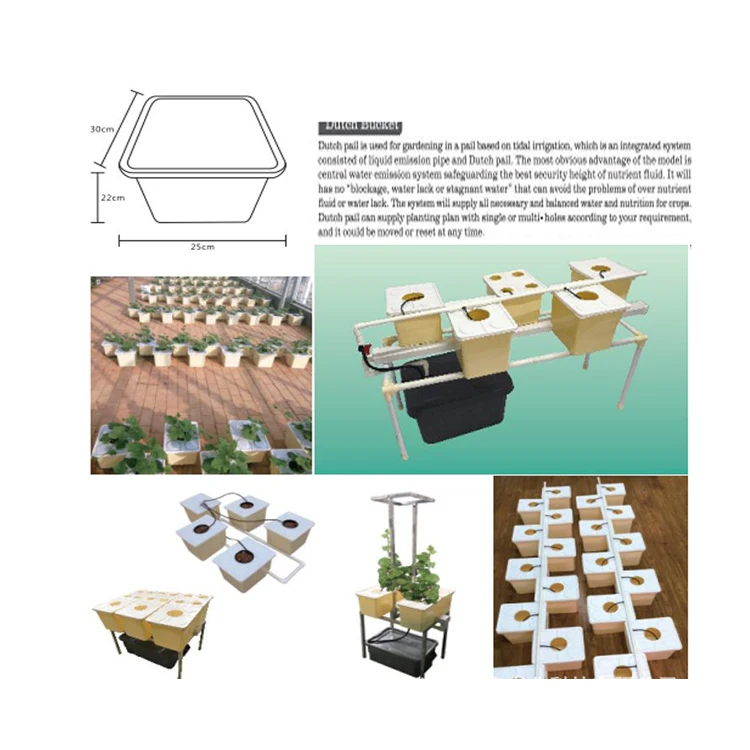 hydroponic pots dutch bucket hydroponic system for the planting of tomato cucumber potato etc