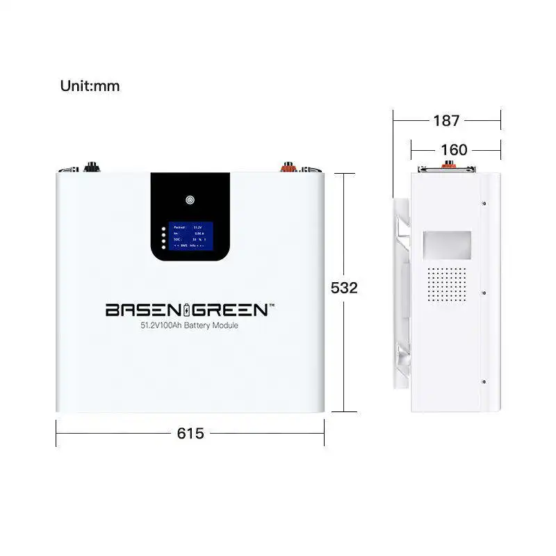 Аккумуляторная батарея Basen Lifepo4 50Ah 100Ah 200Ah 48В настенная солнечная 48 В литиевая