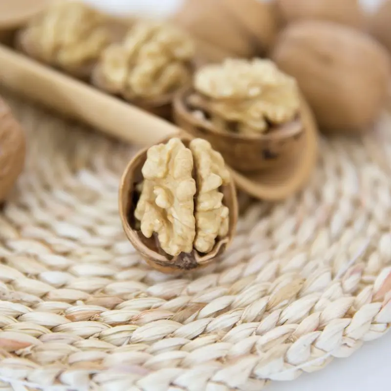 chinese top grade wholesale walnuts walnuts 185 xinjiang inshell  price