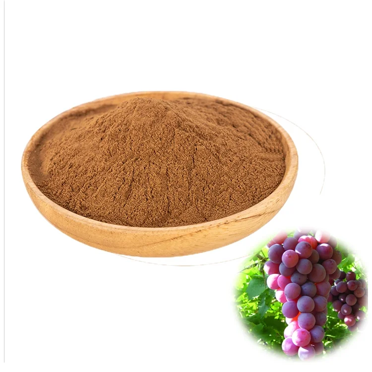 No Additives Natural Food Grade Grape Fruit Seed Extract 60% Grape Seed Plant Extract Grape Seed Extract Powder