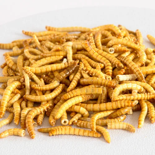 Goldfish Worms Dried Mealworm Koi King Betta Ornamental Fish Brine Shrimp Eggs Fish Food