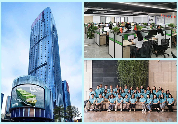 swwls Shanghai Ningbo Qingdao to atlanta USA sea freight/shipping/seafreight/sea shipping 20GP/40GP/40HC/40HQ containers