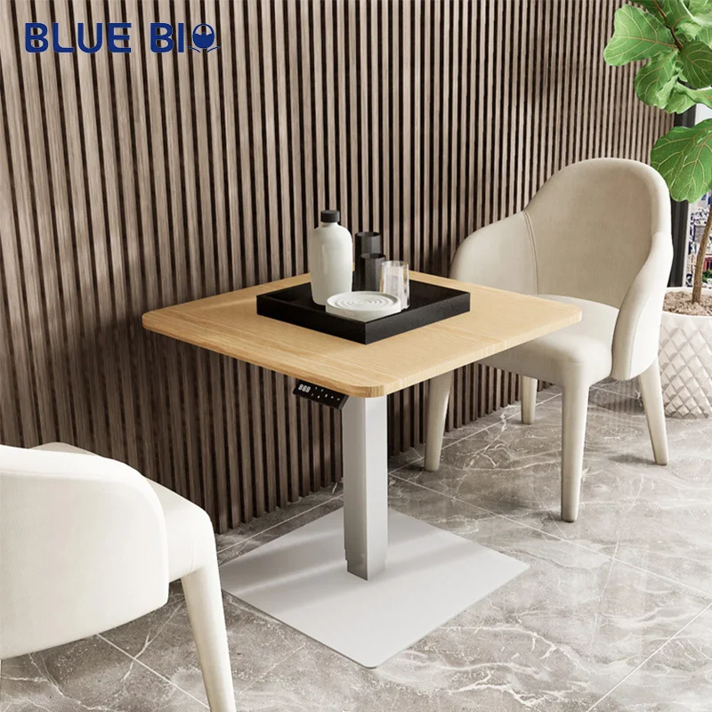 Single Leg Desk Electric Standing Desk Frame Single Motor Spring Single Leg Column Mobile Lifting Desk Table