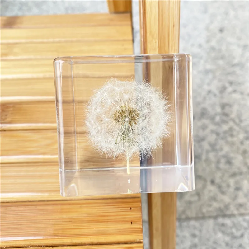Creative New Resin Embedded Dandelion Crafts High Transparent Square Dandelion Dried Flower Ornament