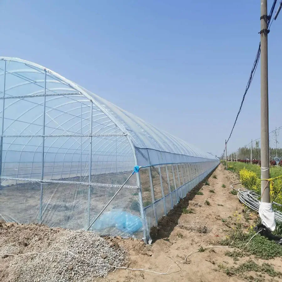 China high quality market commercial tunnel green house hot sale