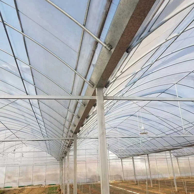 
Hydrophobicity of Multi-span Agricultural Commercial Greenhouses Polytunnel Low Tunnel Greenhouse Winter Greenhouse 