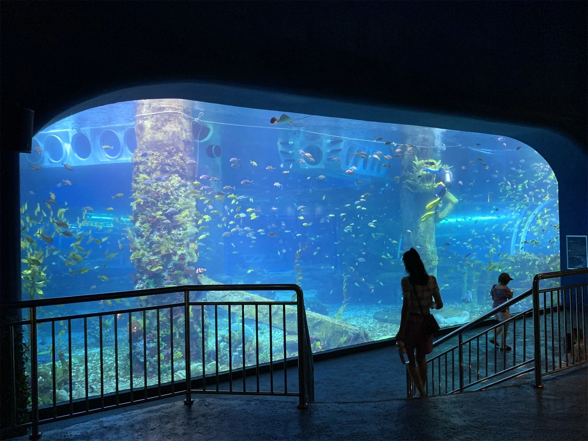 Factory Price Acrylic Sheet Aquarium Acrylic Aquarium Panel Project