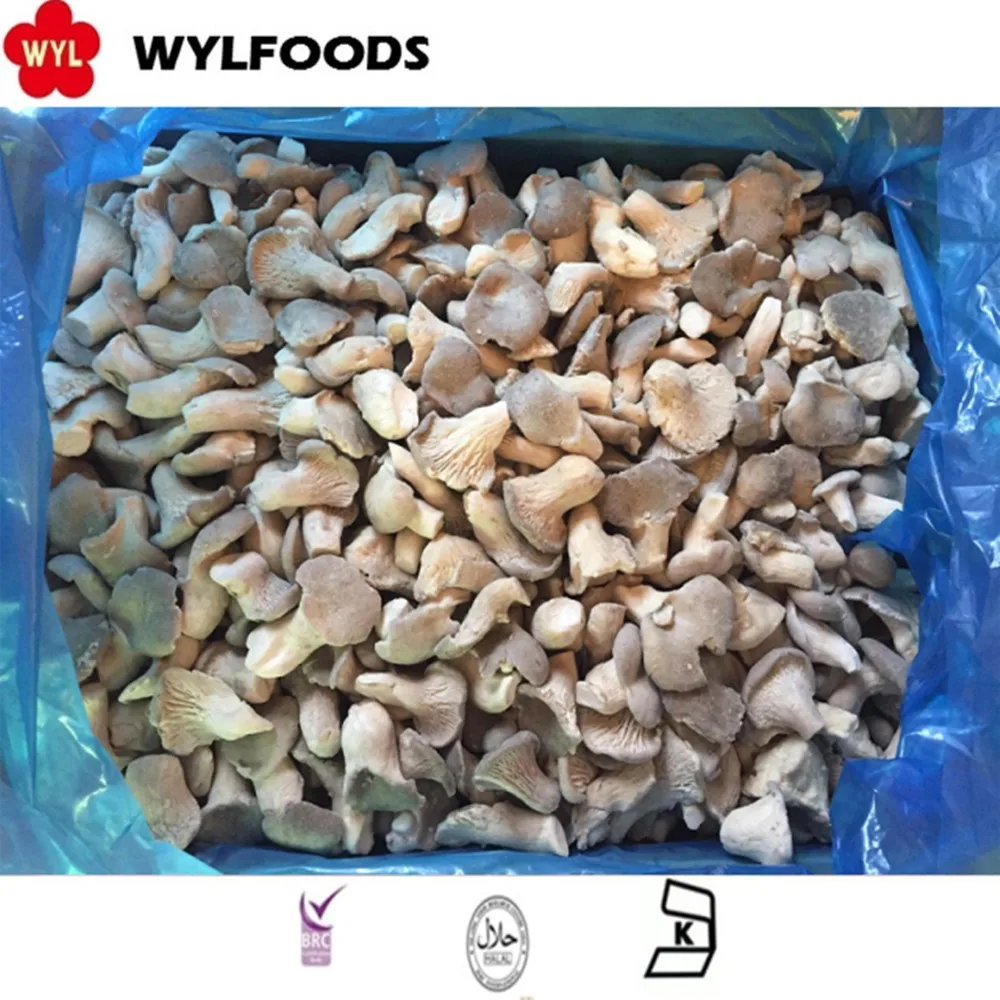 IQF Frozen Baby Oyster Mushrooms Premium Quality Edible Fungi for Culinary Use
