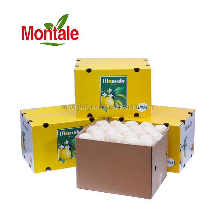 Montale Rich in Vitamins Fresh Lime Export Lemon