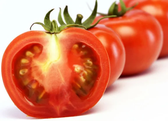 Resistance to TY and Disease Red Tomato Seed SXTS No.1409