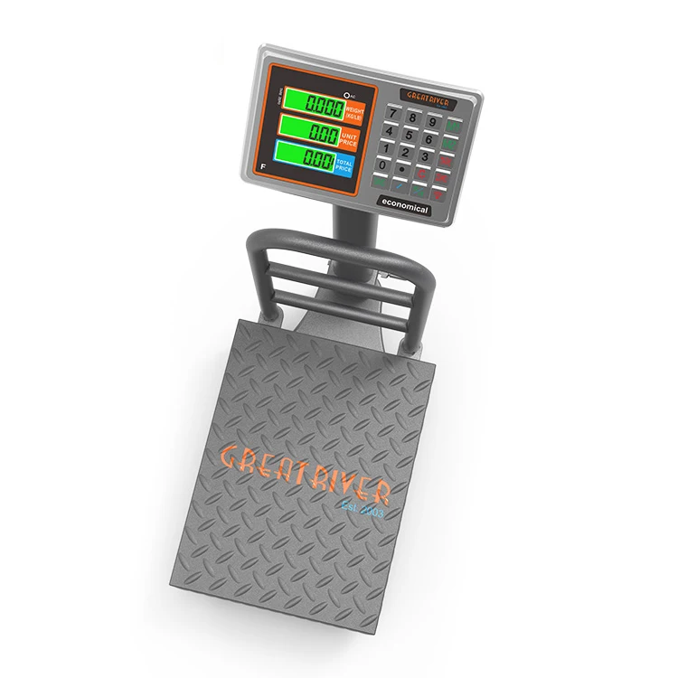 200kg Portable weighing scale industrial electronic scale with digital indicator