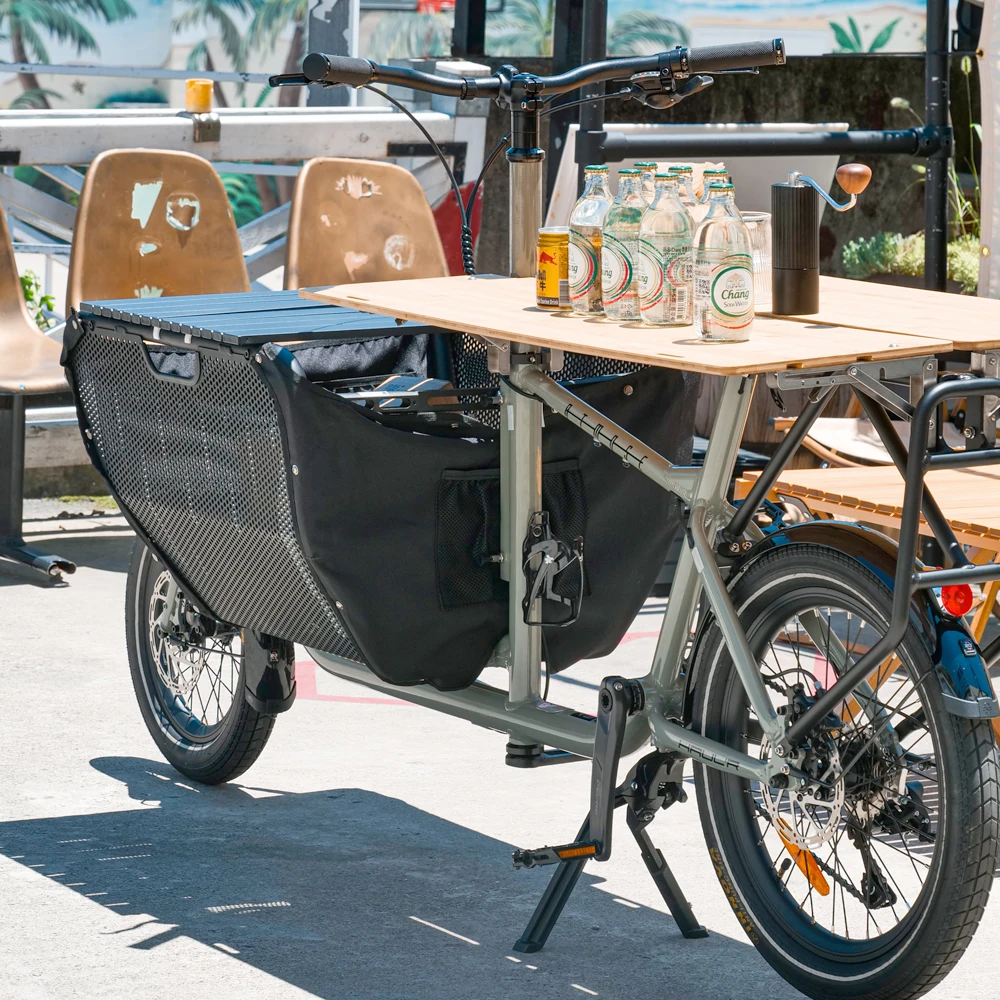 Family Adult Cargo Bike Electric Bicycle 2 Wheel Cargo Bike Alloy Frame 9 Speed E-cargo