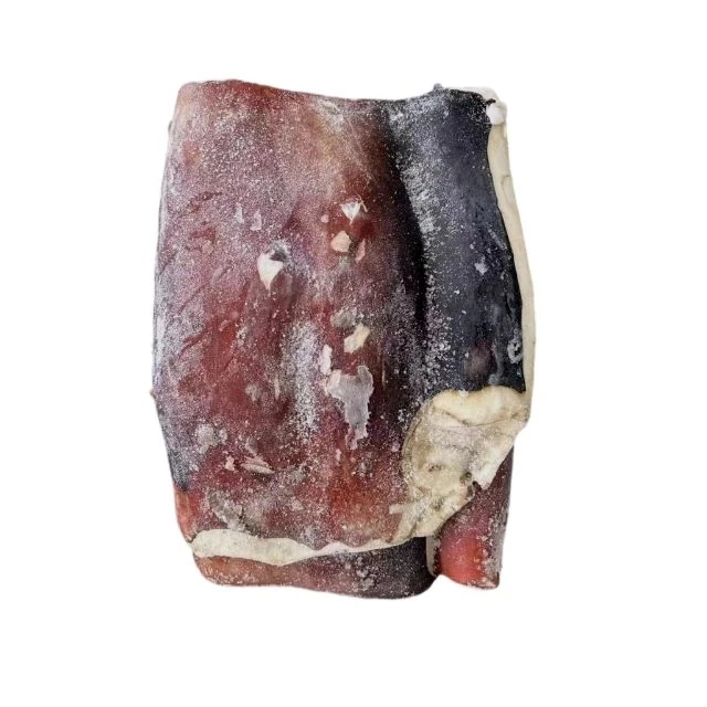 New Stock Frozen Peru Giant Squid Fillet For Sale
