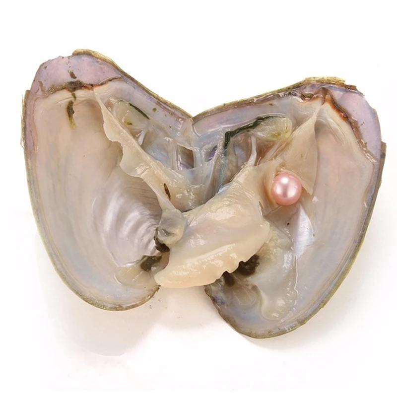 
Wholesale Round Oyster Pearl 2021 new 6-7mm 27mix color Freshwater Natural pearl Gift DIY Loose Decorations Vacuum Packaging 