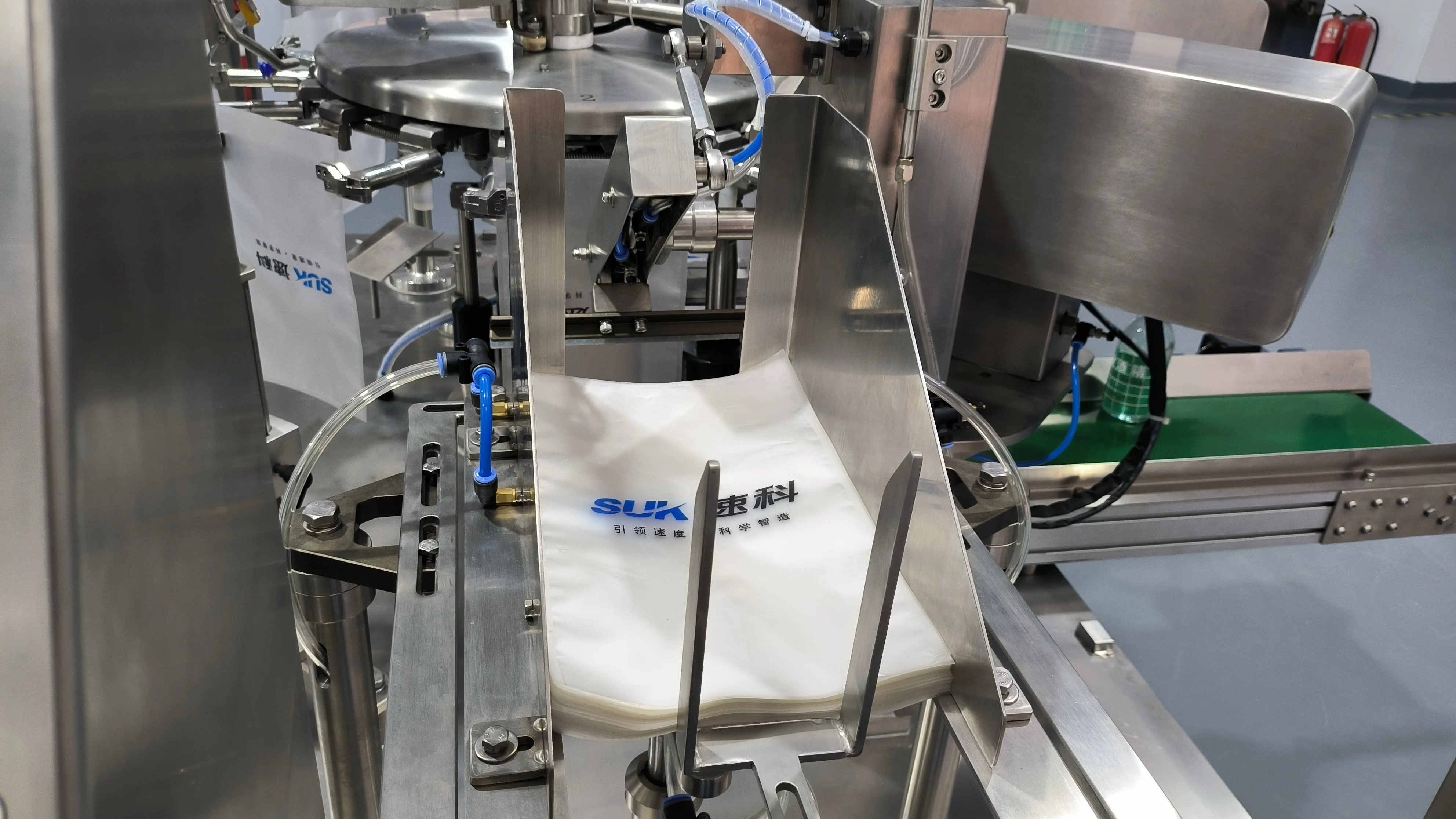 500g 1KG Automatic Weighing Pet Litter Peanut Popcorn Chips Bag Filling Packing Machine For Cat Litter Bag Packing Machine