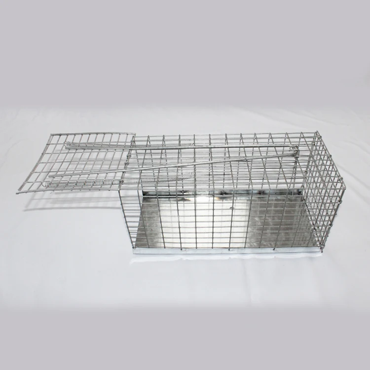 Humane Smart Mouse Trap Live Catch And Release Rodents, Safe Around Children & Pets