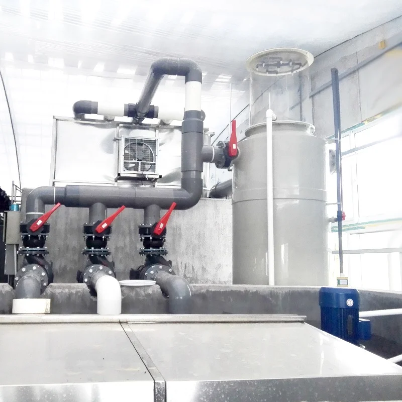 
Indoor fish farm layout design for intensive recirculating aquaculture systems 