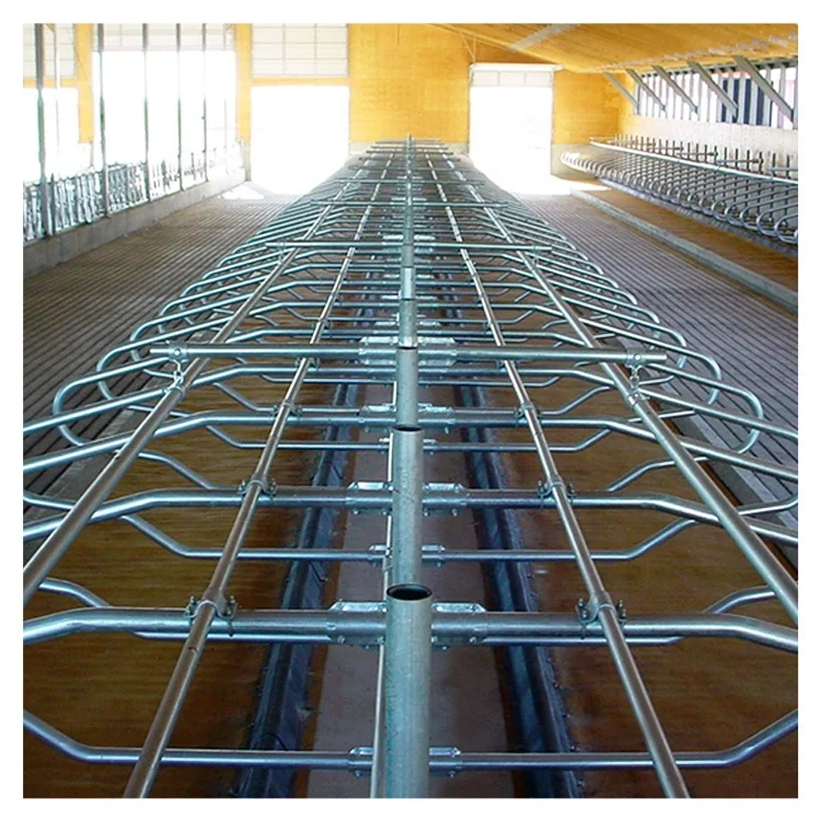 Modern Dairy Farm Hot-Dip Galvanized Factory Price High Quality Cow Free Stall
