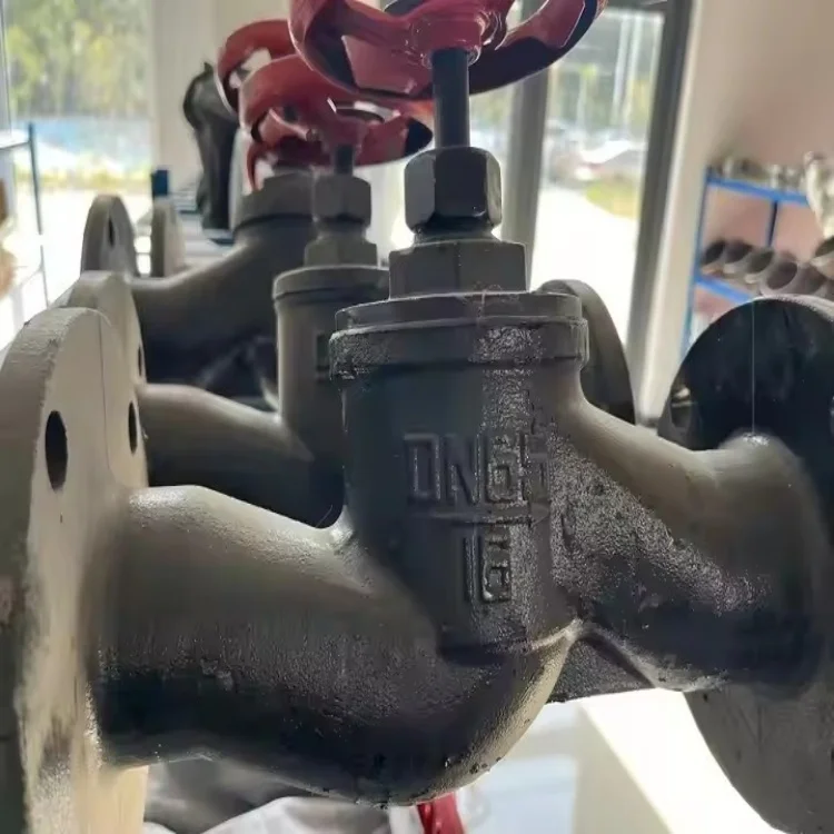 Low cost and high-quality castings can be used to prevent the backflow of the medium check valve