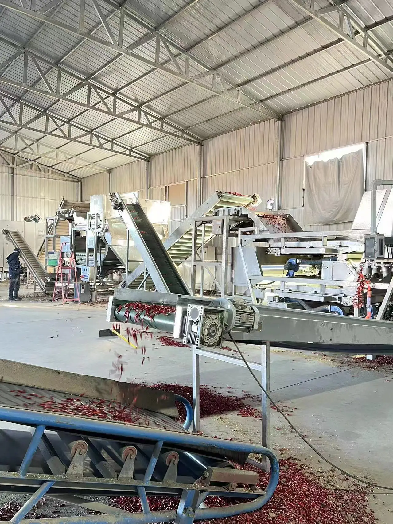 High Quality and Cheap Spice Dried Chili Powder Famous in European and American market