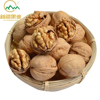Top quality walnuts industrial wholesale Unwashed thin-skinned drying walnut snack walnut